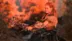 اکانت قانونی Horizon Zero Dawn: Complete Edition برای PS5 و PS4