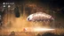 اکانت قانونی Hollow Knight: Silksong برای PS5 و PS4